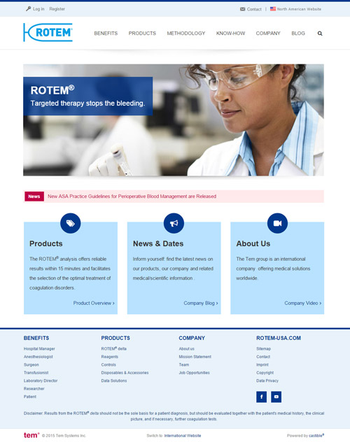 castible Websites: Screenshot Unternehmenswebsite TEM Systems Inc.
